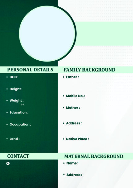 Modern Hindu Marriage Biodata Layout BIOD033